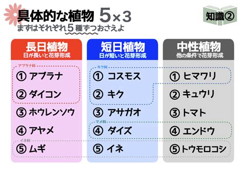 中性植物|短日・長日・中性植物とは？日の長さと開花の関係やそれぞれの。